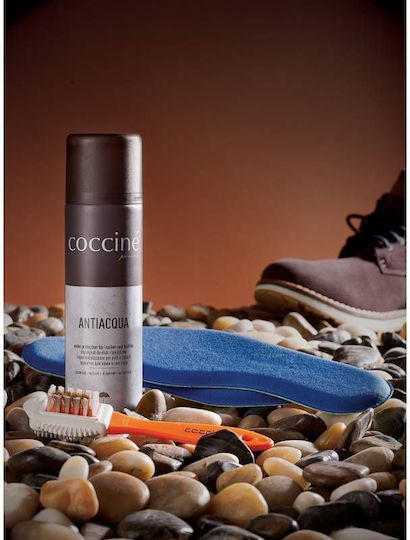 Coccine Da0234 Suede Cleaning Brush