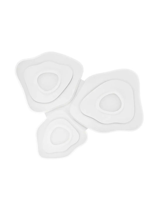 Ceiling Light LED