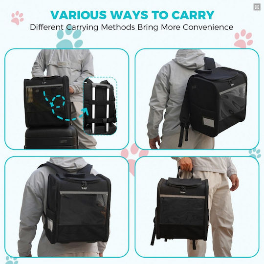 Miss Lulu Rucksack für Hunde / Katzen Schwarz