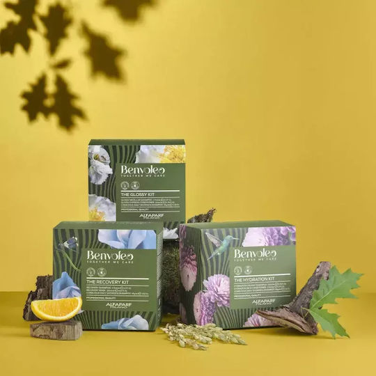 Alfaparf Milano Professional Benvoleo Glossy Σετ Περιποίησης για Λάμψη
