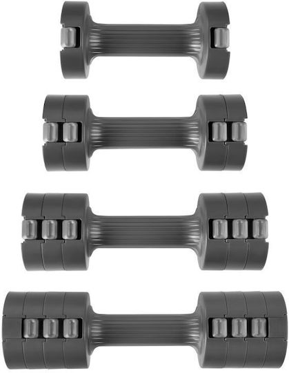 Spokey Βαράκι 1 x 2.5kg
