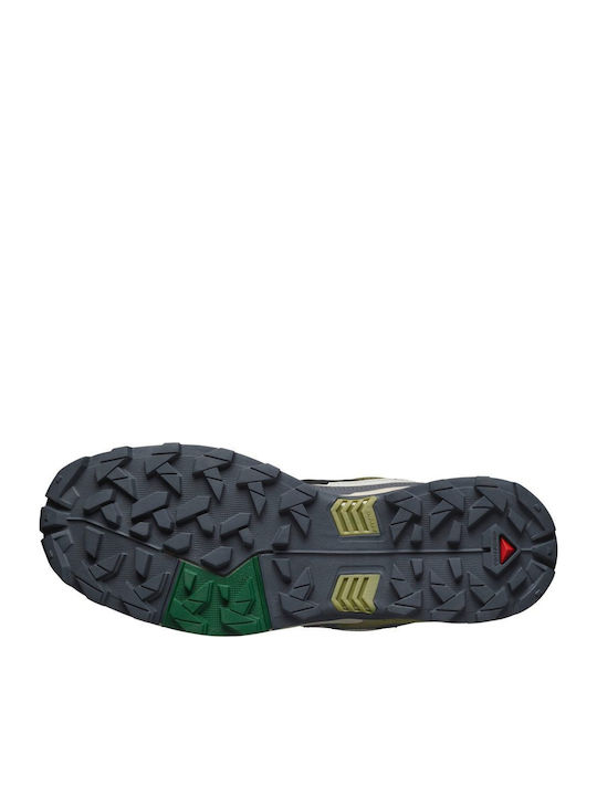 Salomon X Ultra Ανδρικά Ορειβατικά Παπούτσια Αδιάβροχα με Μεμβράνη Gore-Tex Γκρι