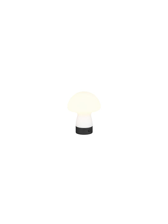 Trio Lighting Γυάλινο Πορτατίφ LED με Λευκό Καπέλο και Βάση