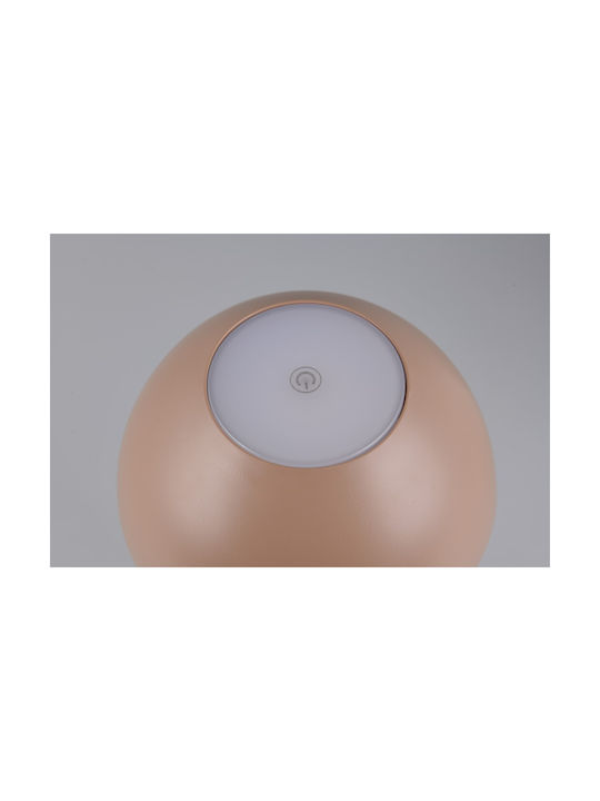 Trio Lighting Πλαστικό Πορτατίφ LED με Καφέ Καπέλο και Βάση