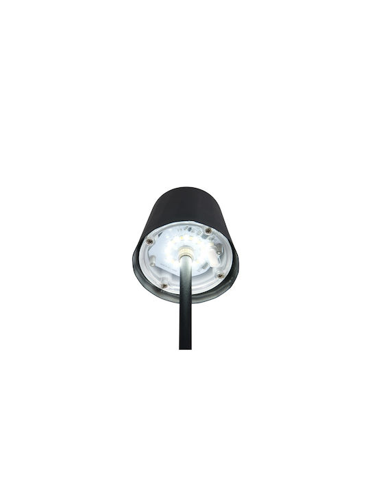 Trio Lighting Μεταλλικό Πορτατίφ LED με Μαύρο Καπέλο και Βάση
