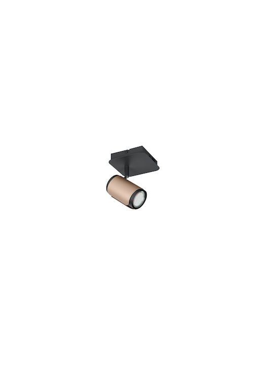 Trio Lighting Monos Spot în Culoare Maro