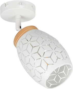 Trio Lighting Einzel Spot in Weiß Farbe