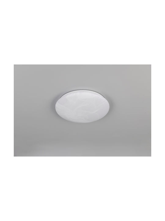 Trio Lighting Ceiling Mount Light