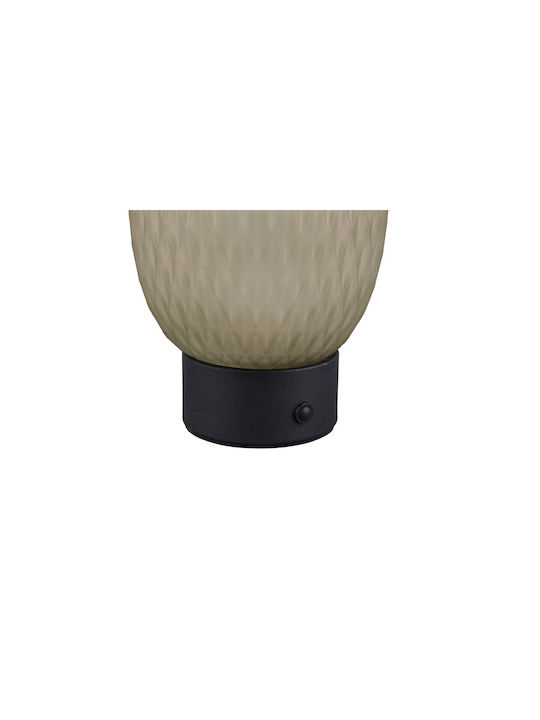 Trio Lighting Διακοσμητικό Φωτιστικό LED Θερμό Λευκό 3000K