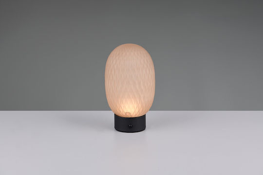 Trio Lighting Decorative Lamp Honey