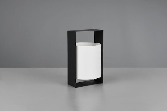 Trio Lighting Διακοσμητικό Φωτιστικό E27