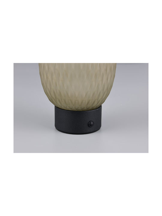 Trio Lighting Διακοσμητικό Φωτιστικό LED Θερμό Λευκό 3000K