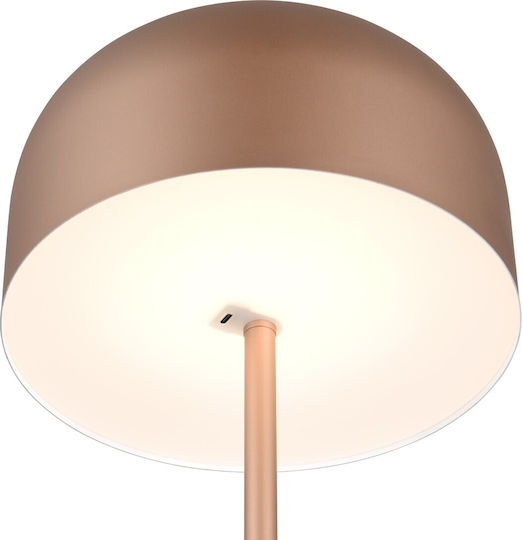 Trio Lighting LED Stehleuchte mit Warmweißem Licht Braun