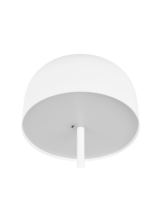 Trio Lighting LED Floor Lamp with Warm White Light White