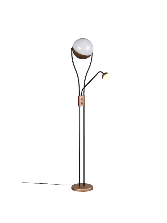 Trio Lighting Chris LED Floor Lamp with Warm White Light Brown