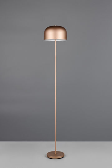 Trio Lighting LED Stehleuchte mit Warmweißem Licht Braun