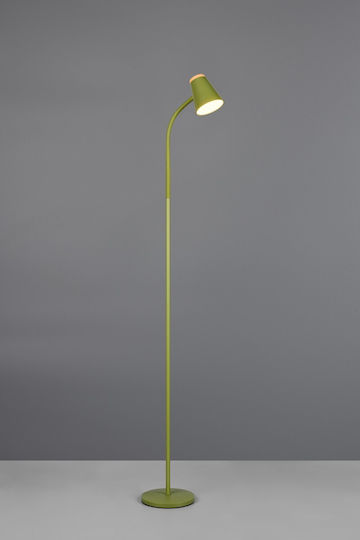 Trio Lighting LED Floor Lamp with Warm White Light Green