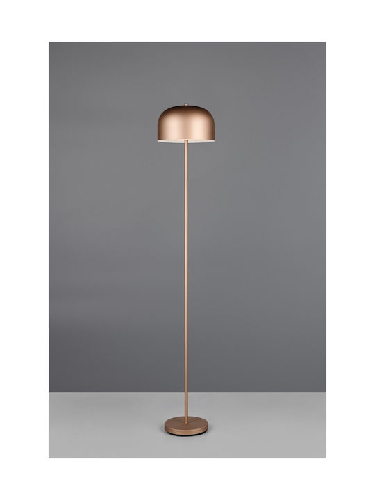 Trio Lighting LED Φωτιστικό Δαπέδου με Θερμό Λευκό Φως Καφέ