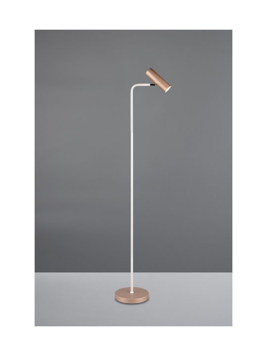 Trio Lighting Marley Φωτιστικό Δαπέδου Καφέ
