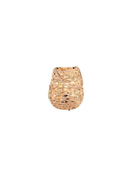 Trio Lighting Διακοσμητικό Φωτιστικό