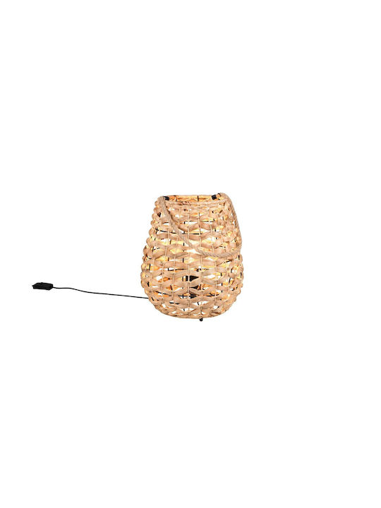 Trio Lighting Διακοσμητικό Φωτιστικό