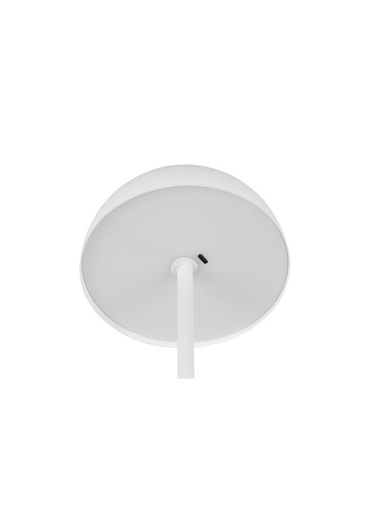 Trio Lighting Μεταλλικό Πορτατίφ LED με Λευκό Καπέλο και Βάση