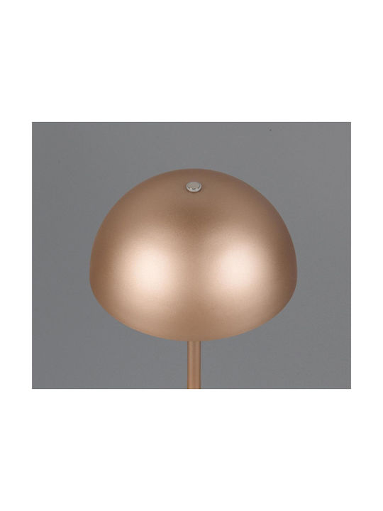 Trio Lighting Μεταλλικό Πορτατίφ LED με Καφέ Καπέλο και Βάση