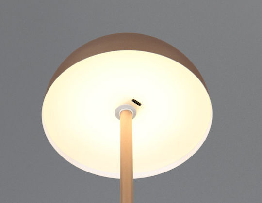 Trio Lighting Metal Table Lamp LED with Brown Shade and Base