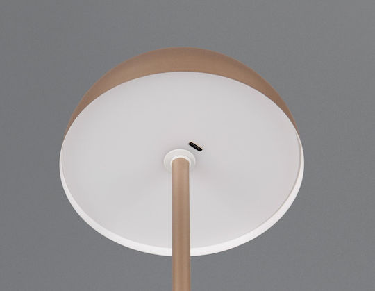 Trio Lighting Metal Table Lamp LED with Brown Shade and Base