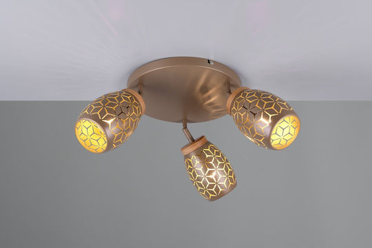 Trio Lighting Triple Spot in Brown Color