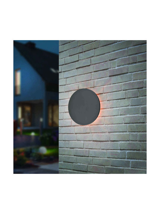Trio Lighting Belly Πλαφονιέρα LED 8.5W 3000K 25x25εκ.