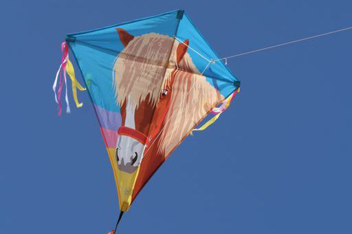 Spiderkites Rhombus Kite Fabric with Storage Bag 70x70cm 1pcs