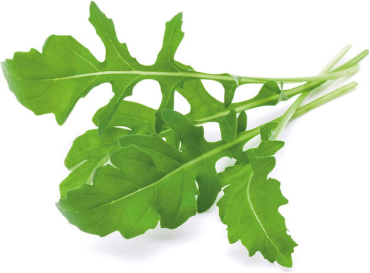 Click and Grow Σπόροι Ρόκας 3τμχ