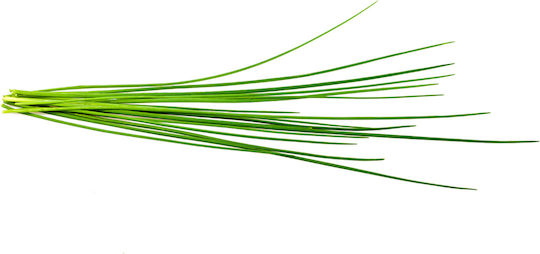 Click and Grow Σπόροι Σχοινόπρασο 3τμχ