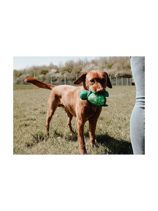 Hunter Kunststoff Hundespielzeug Grün