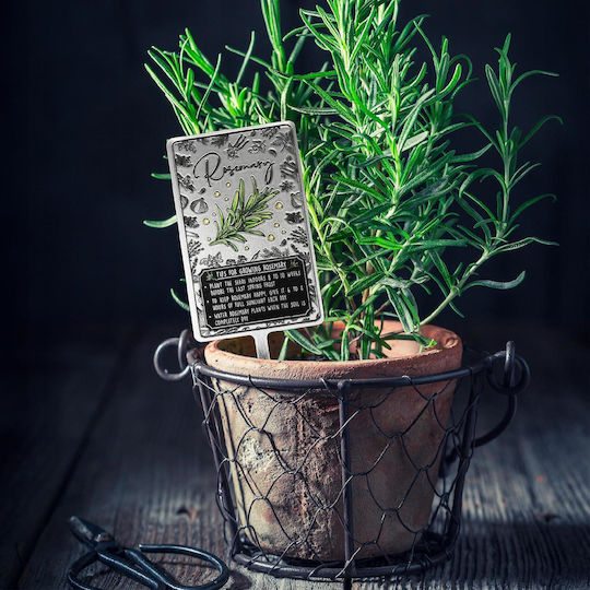 Kadax Herb Plant Spice Label Tag Sign