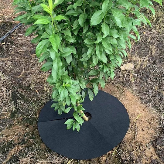 Agrotextil Stoff Runde Kreise Bäume Unkraut Filcowa 32cm