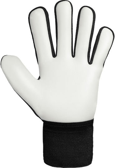 Reusch Reusch Attrakt Starter Solid Γάντια Τερματοφύλακα Ενηλίκων Μαύρα