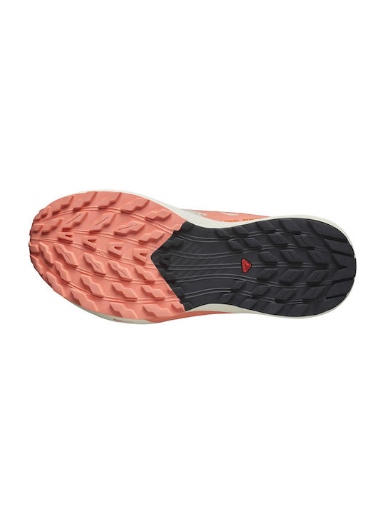 Sense Ride 5 Γυναικεία Αθλητικά Παπούτσια Running Tender Peach