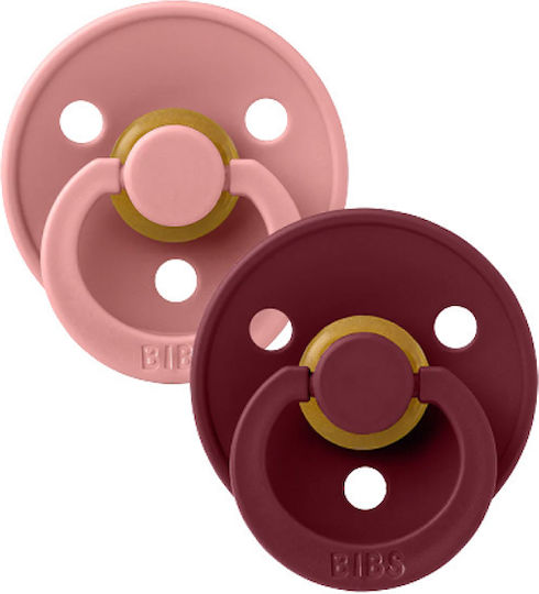 Bibs Pacifiers Rubber for 0+ months 2pcs