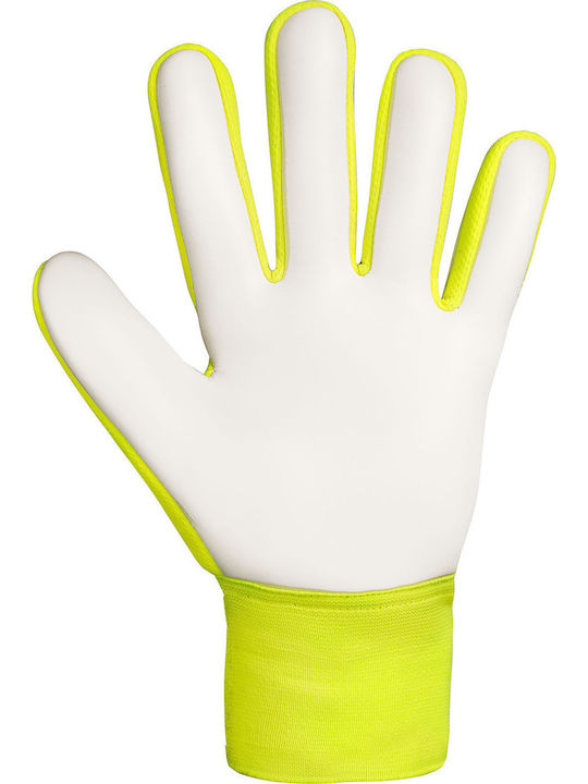 Reusch Reusch Attrakt Starter Solid Adults Goalkeeper Gloves Multicolour
