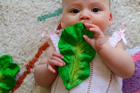 Oli&Carol Teething Relief made of Rubber for 3 m+