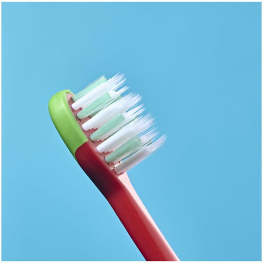 Brush Baby Kinderzahnbürste Für 3+ Jahre Flamingo