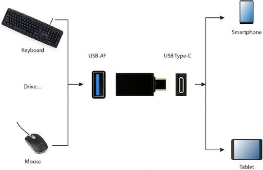 Cablexpert Μετατροπέας USB-C male σε USB-A female 1τμχ A-USB3-CMAF-01