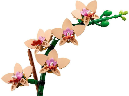 LEGO Botanical Collection Mini Orchid για 18+ Ετών 274τμχ