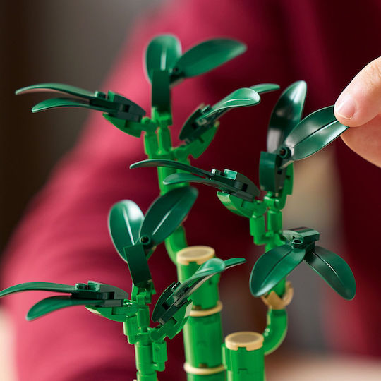 LEGO Botanical Collection Lucky Bamboo για 18+ Ετών 325τμχ