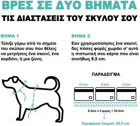 Zee-Dog Hundeleine/Führleine Riemen