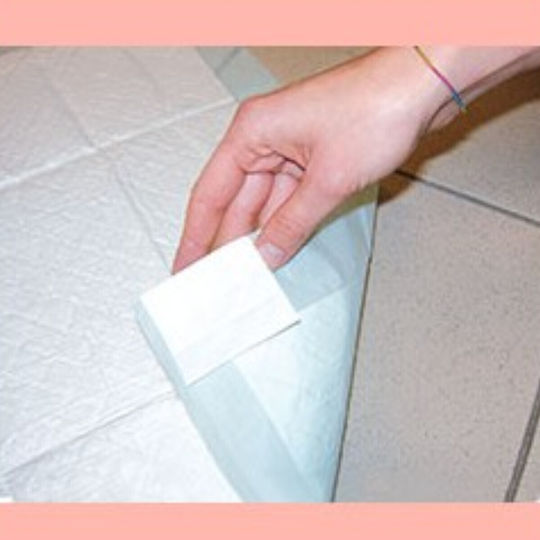 Ferplast Επιδαπέδια Πάνα Σκύλου με Αυτοκόλλητο 60x60cm 11τμχ