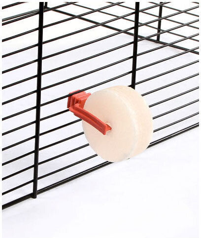 Kerbl Treat for Guinea Pig, Rabbit and Hamster 80gr