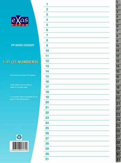 Exas Paper Plastic Dividers for Documents A4 with Holes 31pcs